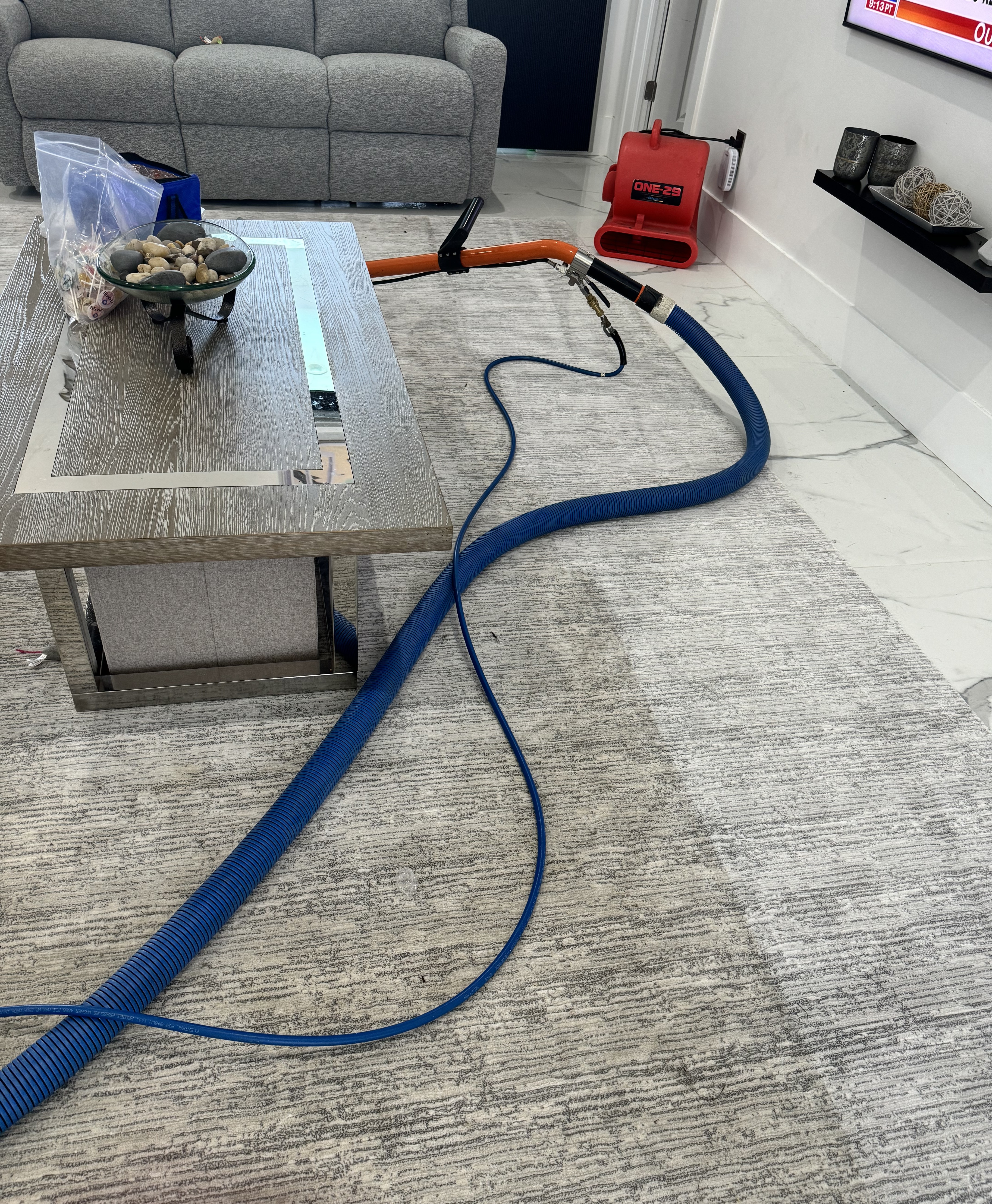 carpet cleaners Cape Coral