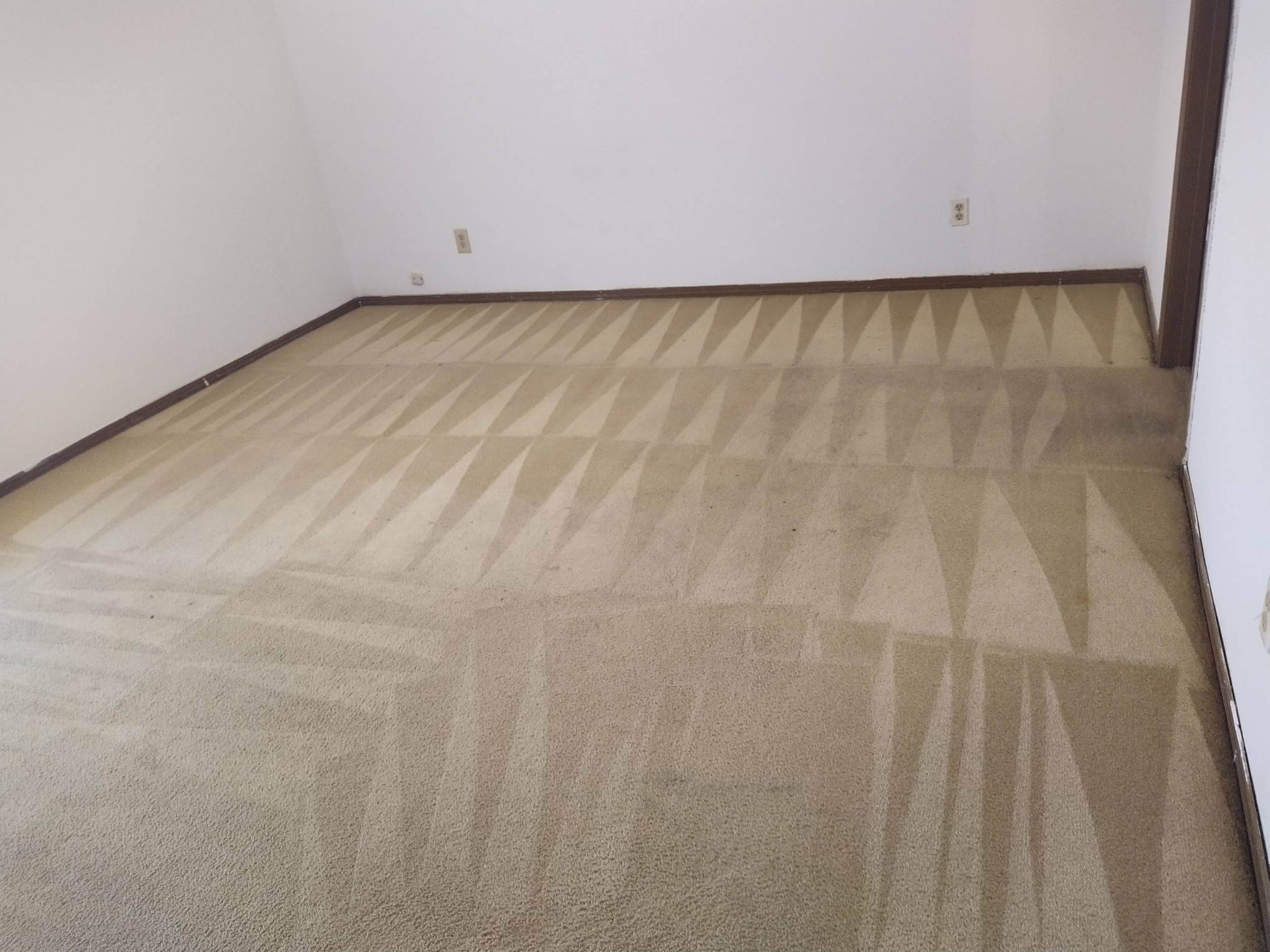 carpet cleaning cape coral