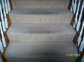 Cape Coral carpet cleaners