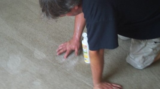 carpet cleaning Cape Coral